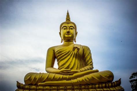 Budist nedir